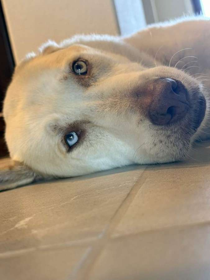 Butters